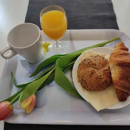 In - Balaton 44890 *